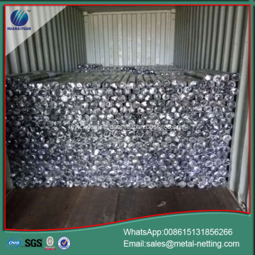 hexagonal wire mesh galvanized chick wire